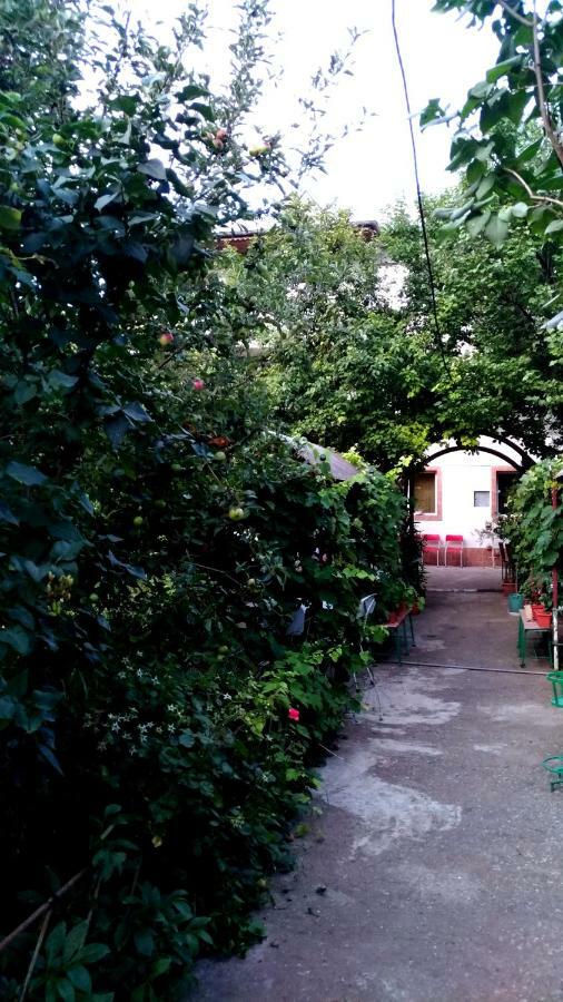 Casa Din Gradina Villa Eforie Sud  Ngoại thất bức ảnh